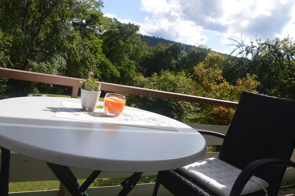Hotel Landhaus Waldesruh Freudenstadt Ngoại thất bức ảnh